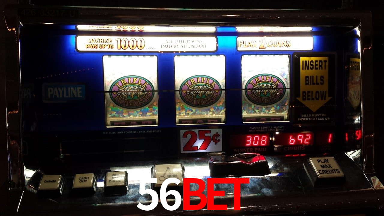 Sports Statistics 56bet